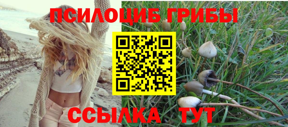 Галлюциногенные грибы Magic Shrooms Ростов Великий