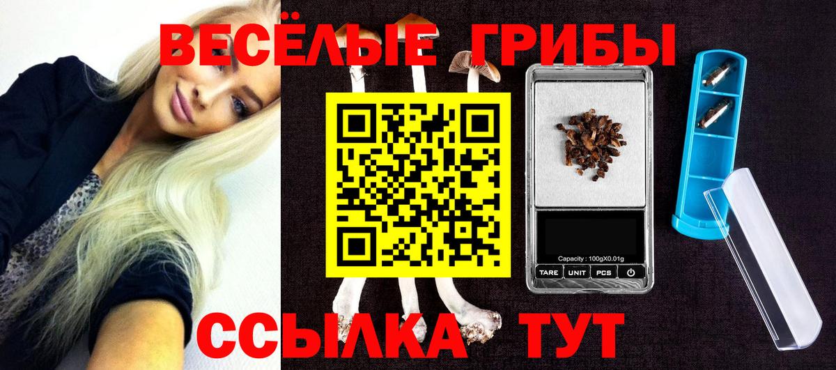 Галлюциногенные грибы Cubensis  Вход с VPN  Ростов Великий 